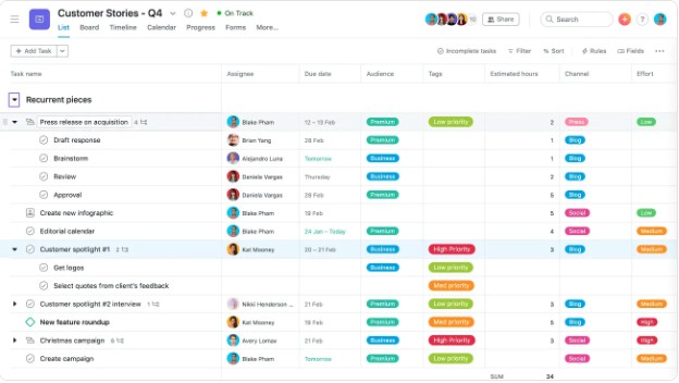 Asana Screenshot
