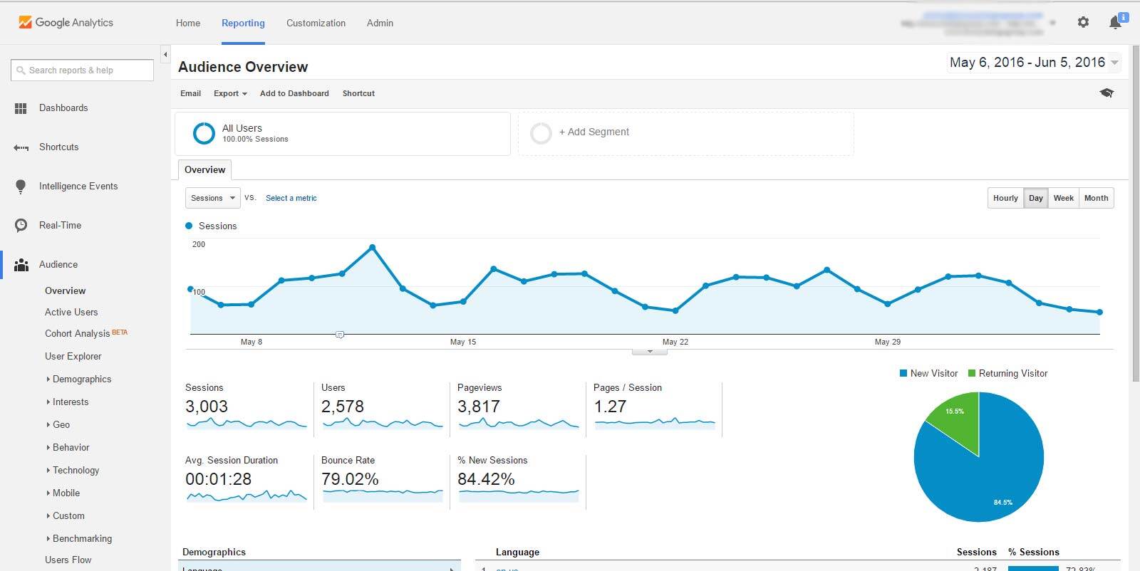 Google Analytics Screenshot