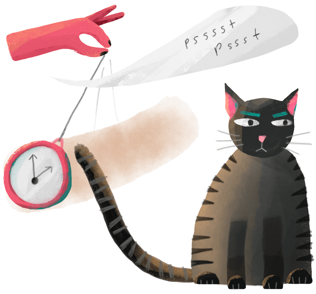 illustration-cat-large@2x.png